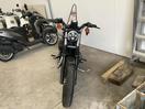 Thumbnail '2' of Harley Davidson Sportster 10 Iron Sportster883