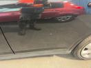 Thumbnail '12' of Nissan Tiida ST