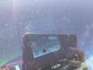 Thumbnail '25' of Toyota Hilux TD DC