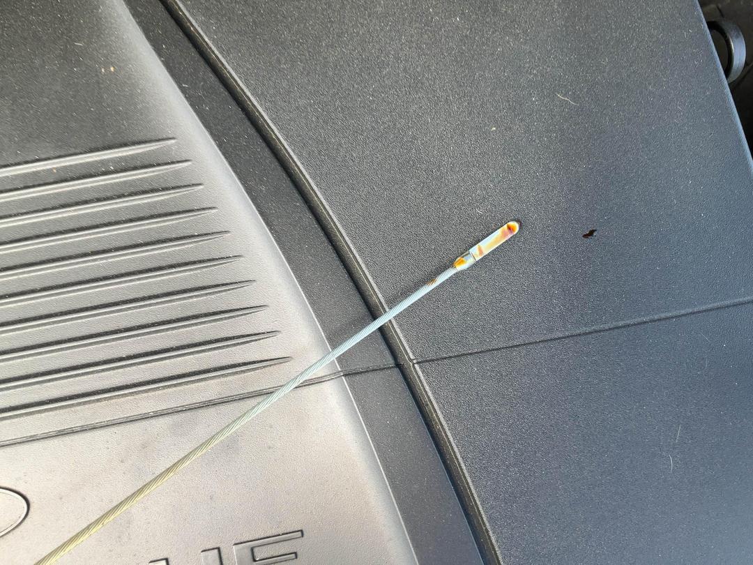 Photo '18' of Ford Focus Photo '18' of Ford Focus