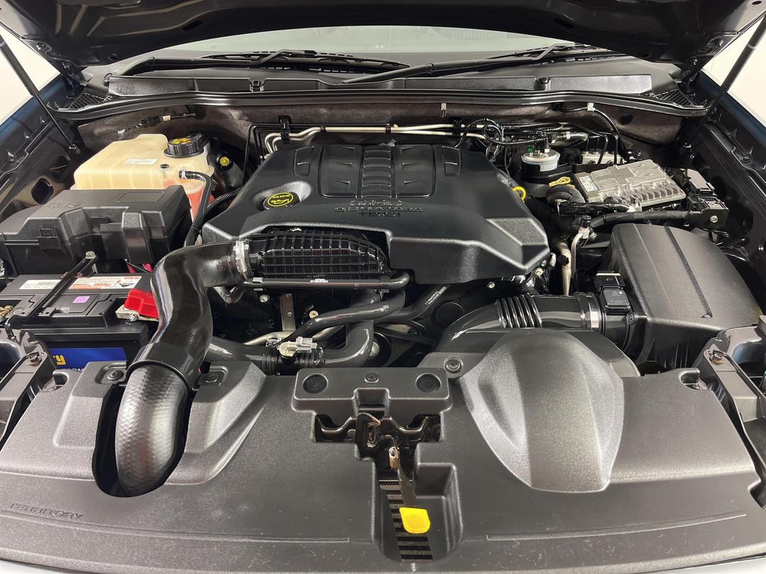 Photo '13' of Ford Territory