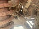 Thumbnail '27' of Honda 350