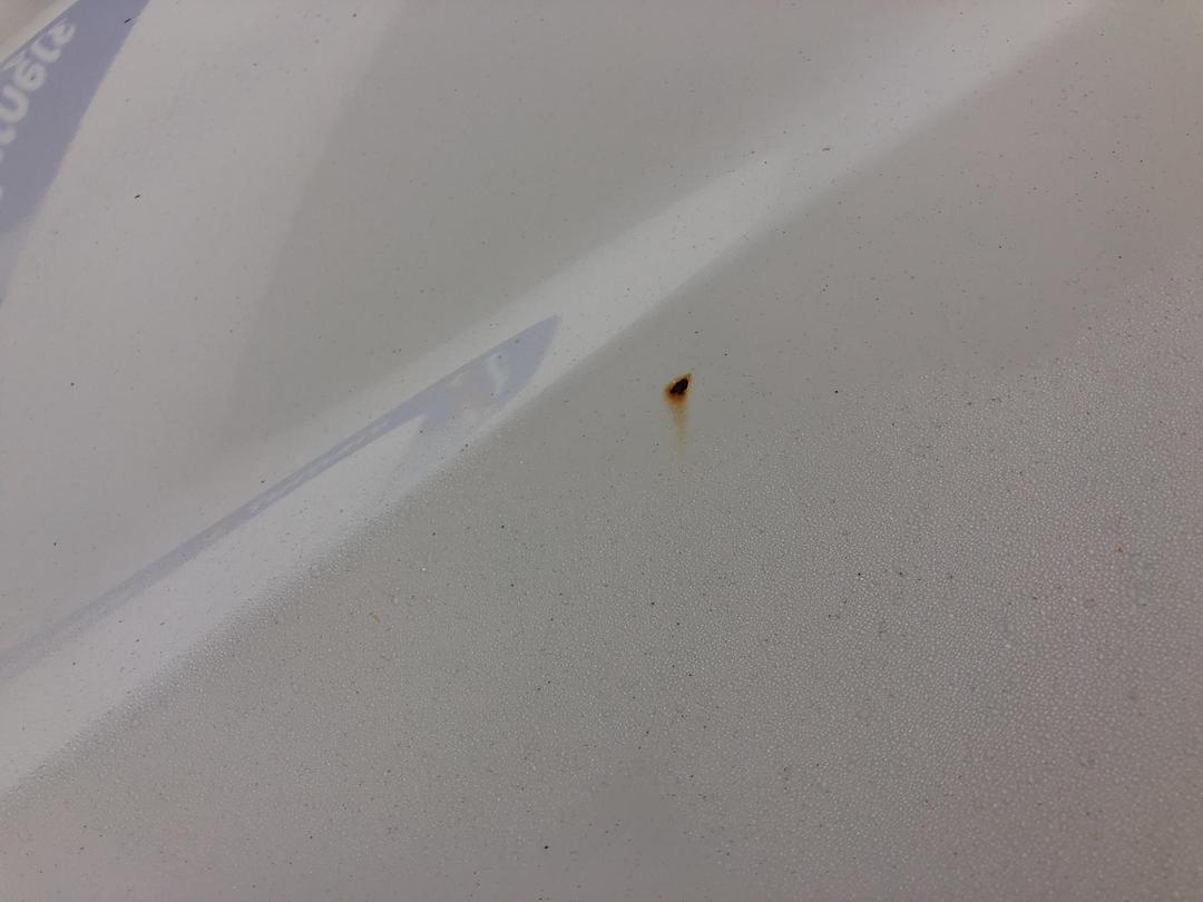 Photo '26' of Nissan Dualis