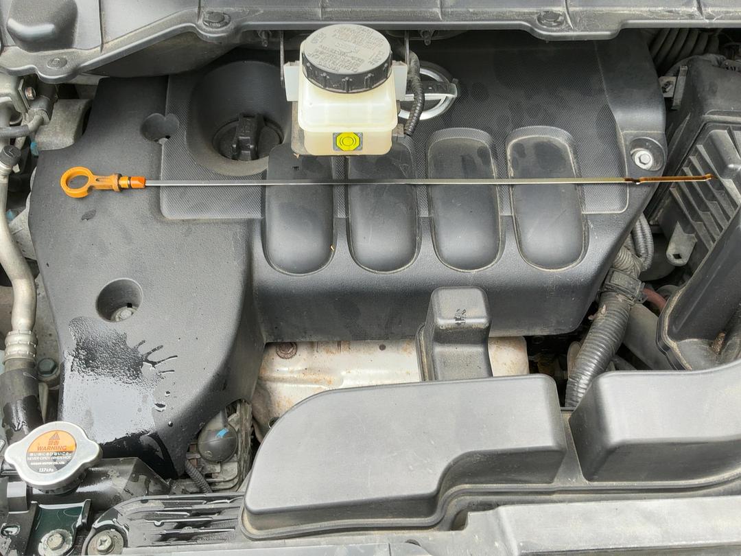 Photo '10' of Nissan Elgrand Rider