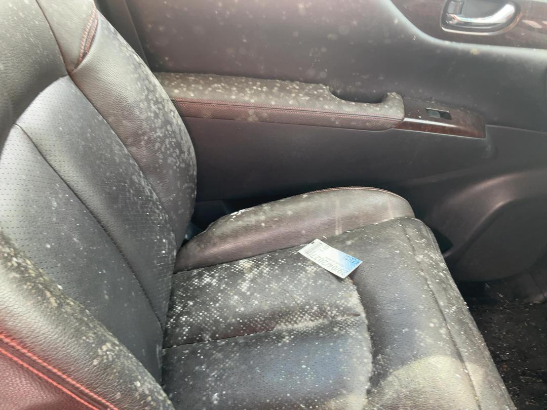 Photo '18' of Nissan Elgrand