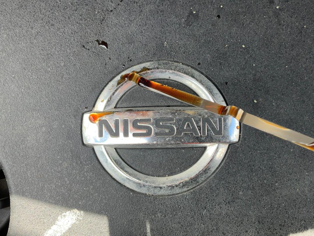 Photo '20' of Nissan Elgrand