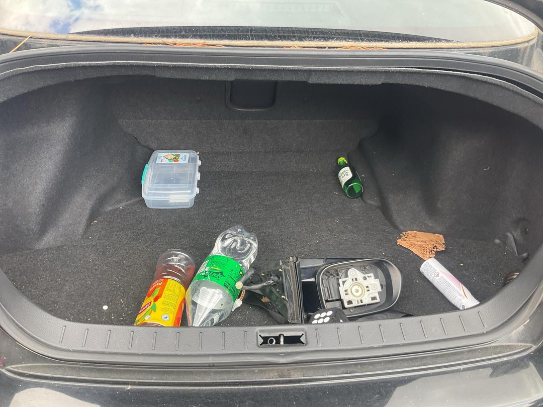 Photo '6' of Nissan Skyline