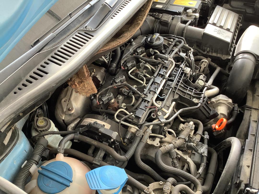 Photo '12' of Volkswagen Caddy Maxi Kombi