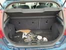 Thumbnail '17' of Ford Fiesta Zetec