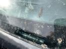 Thumbnail '12' of Ford Ranger TD XL DC W/S