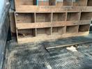 Thumbnail '10' of Ford Transit LWB Mroof