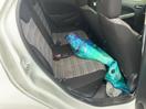 Thumbnail '7' of Mazda Demio
