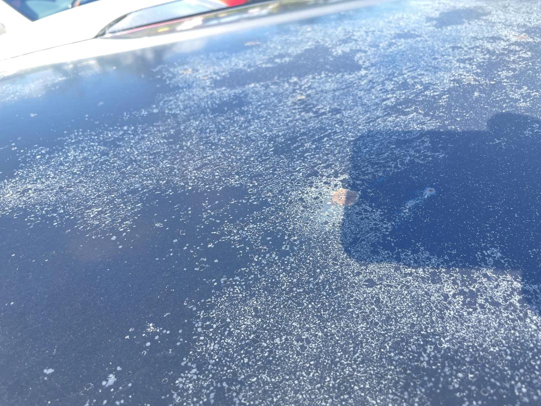 Photo '16' of Mazda Mazda6 GSX