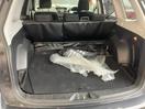 Thumbnail '16' of Subaru Forester