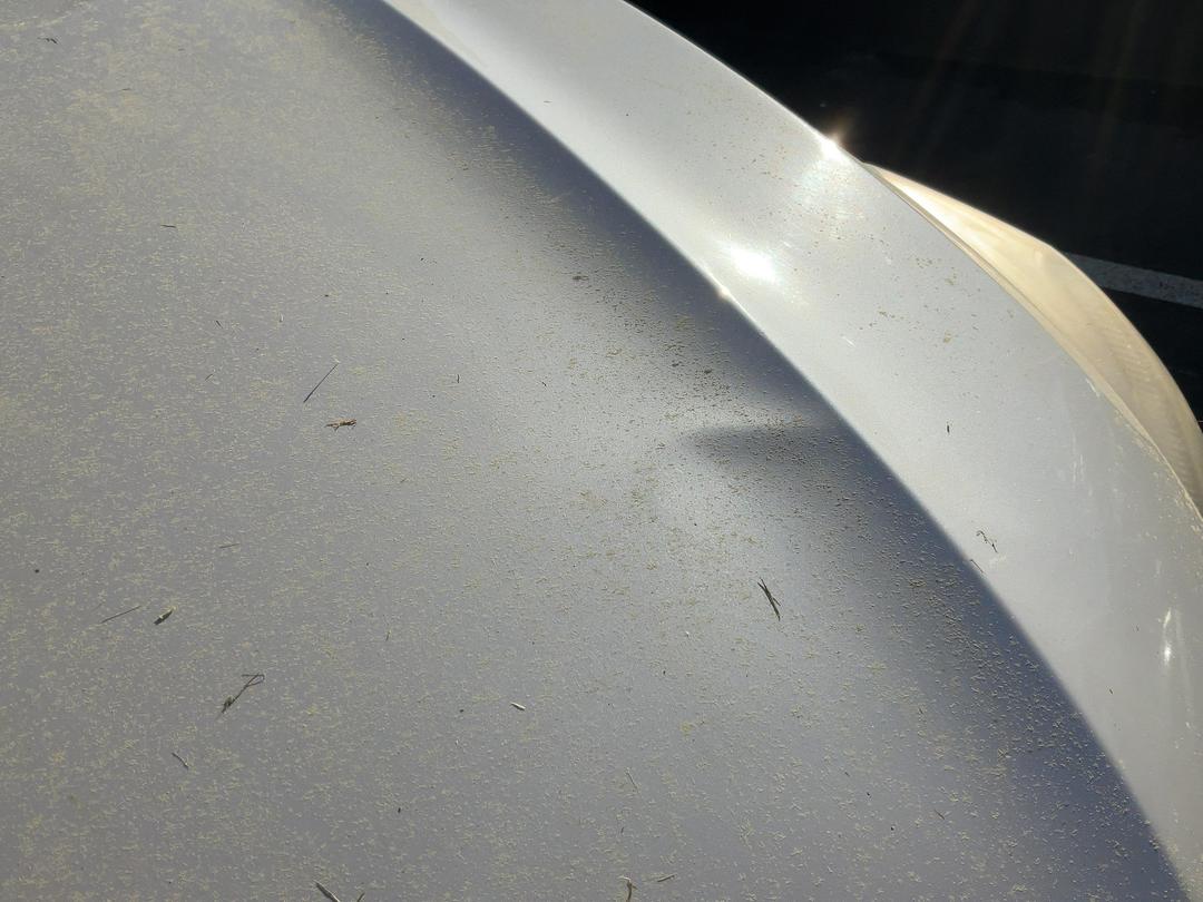 Photo '12' of Subaru Impreza Photo '12' of Subaru Impreza