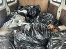 Thumbnail '11' of Toyota Hiace Regius ACE