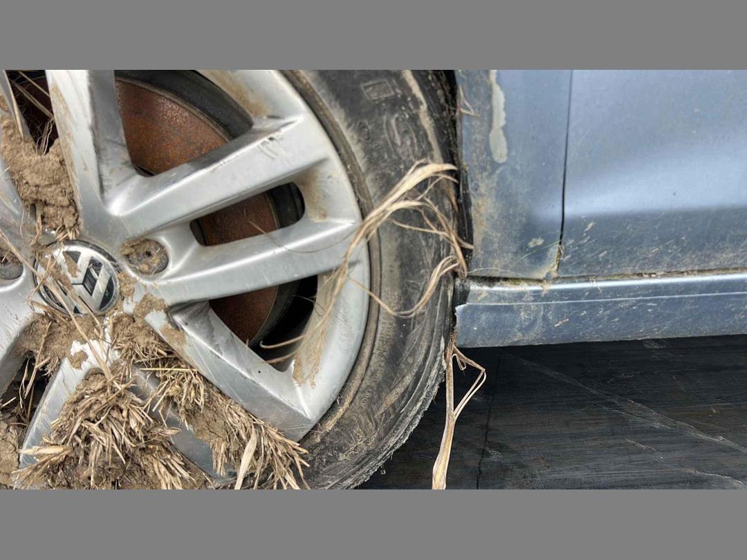 Photo '12' of Volkswagen Golf