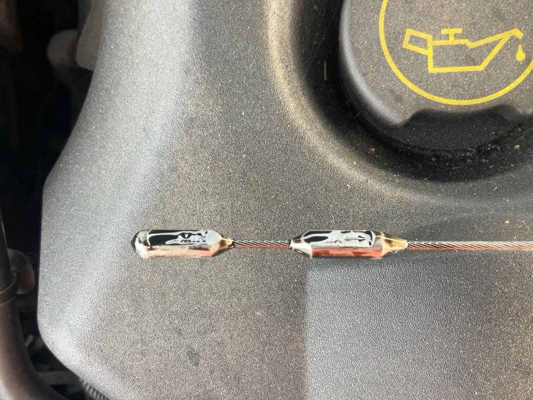 Photo '12' of Ford Territory TX