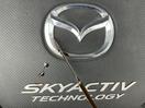Thumbnail '21' of Mazda Axela
