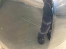 Thumbnail '10' of Nissan Leaf