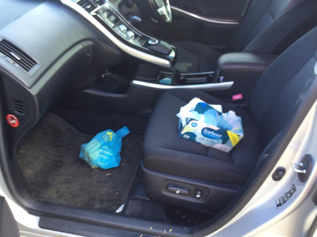 Photo '15' of Toyota SAI