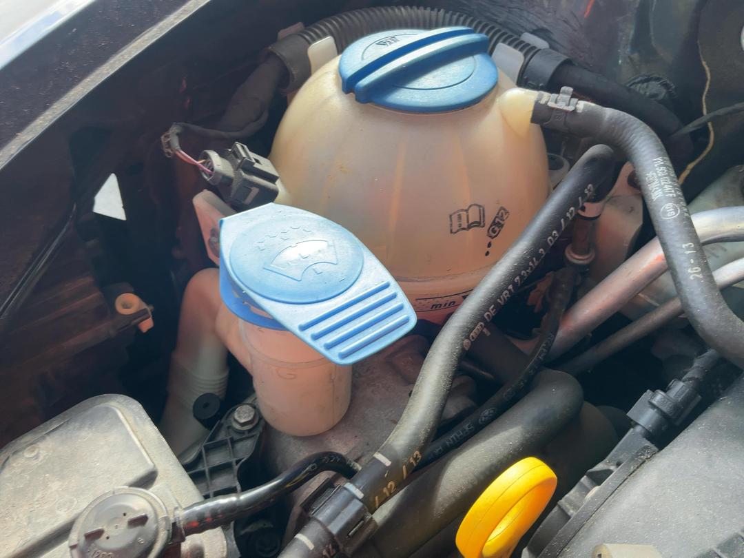 Photo '18' of Volkswagen Beetle