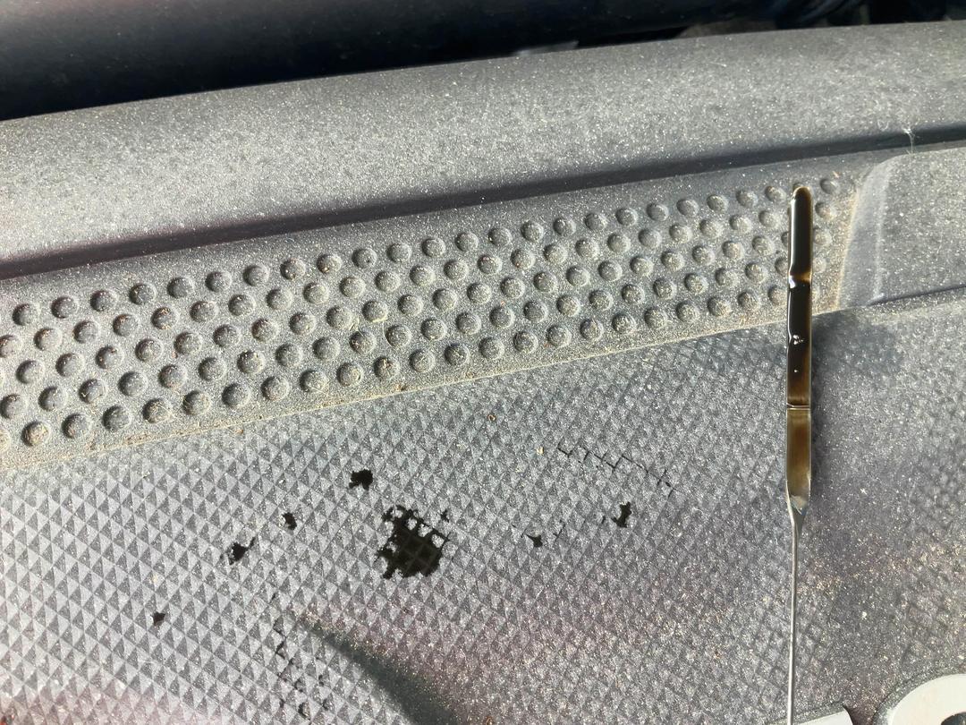 Photo '19' of Volkswagen Beetle