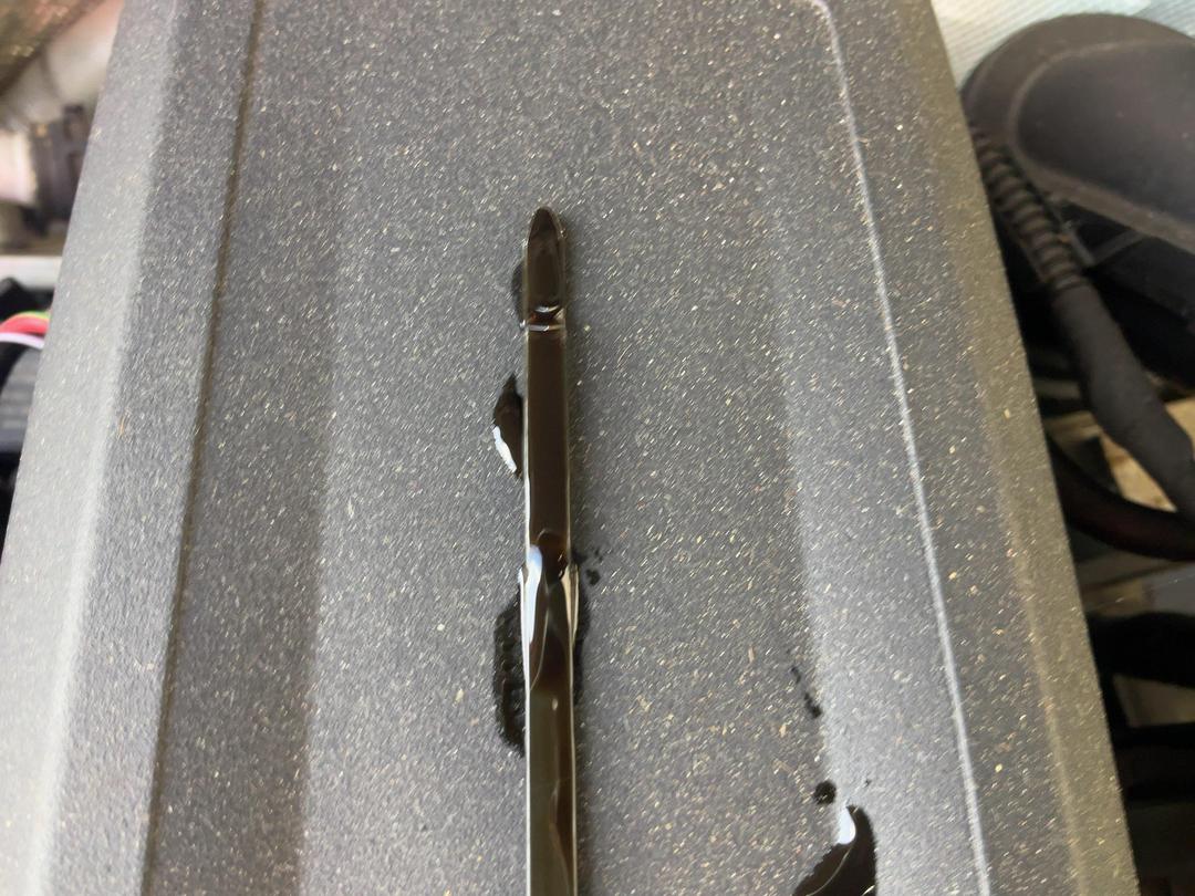 Photo '29' of Volkswagen Beetle