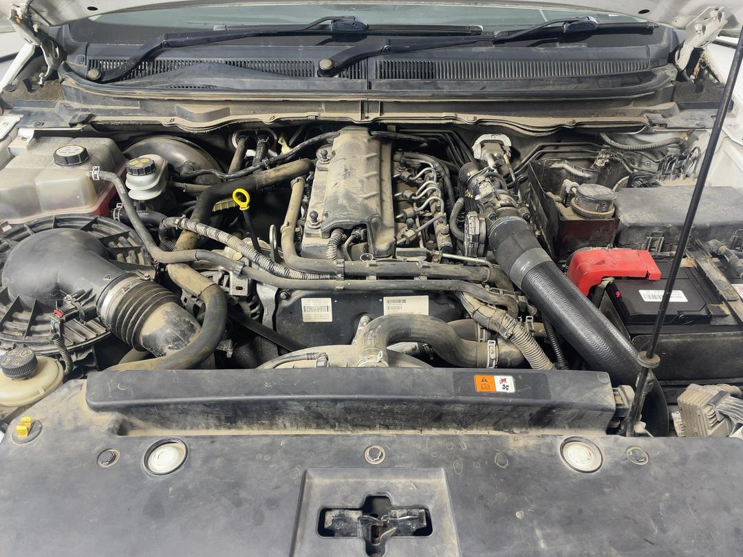 Photo '13' of Ford Ranger