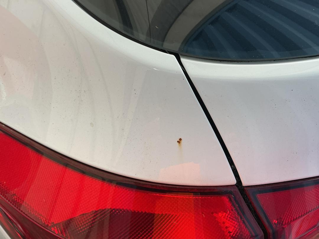 Photo '17' of Holden Cruze CD