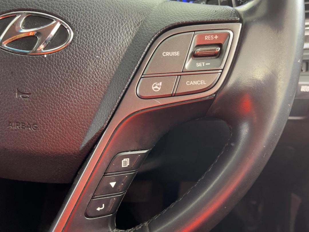 Photo '24' of Hyundai Santa FE DM