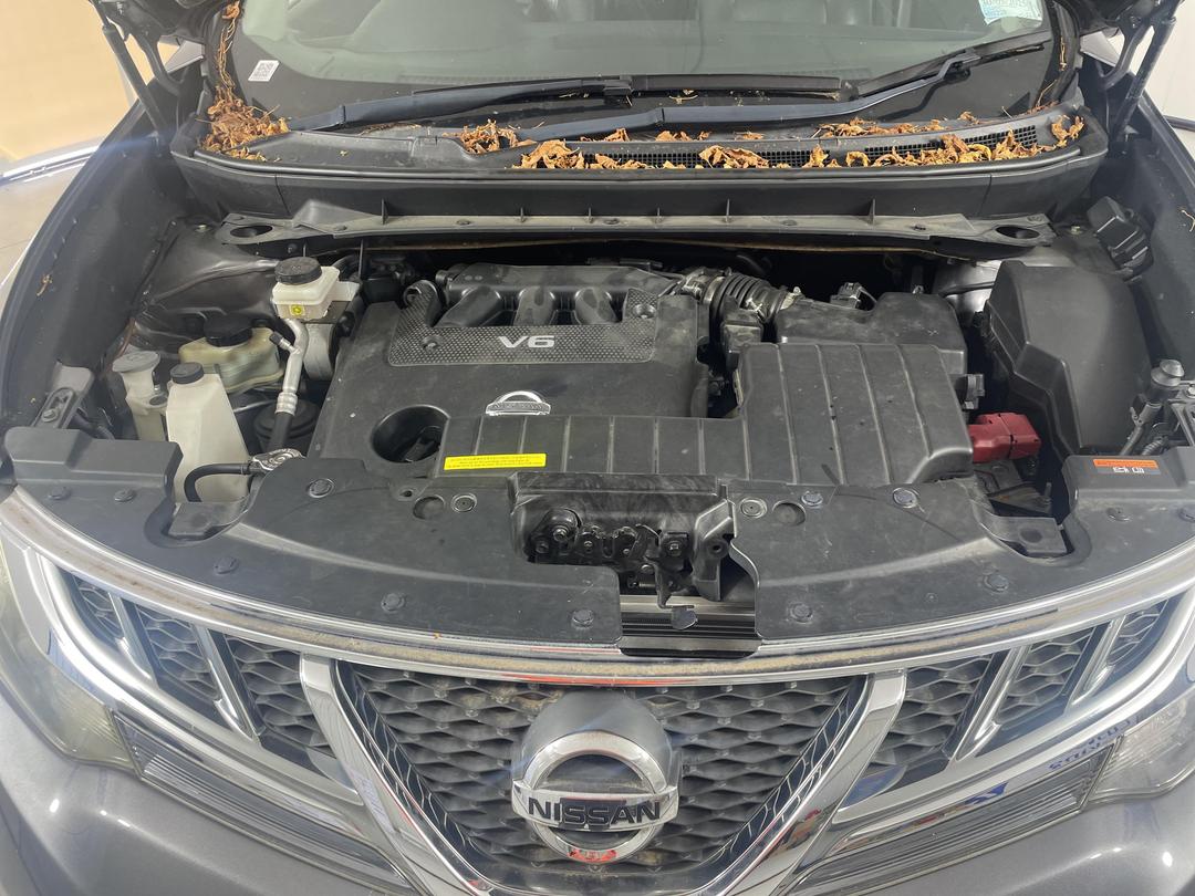 Photo '11' of Nissan Murano TI