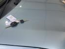 Thumbnail '14' of Toyota Corolla Fielder Corolla