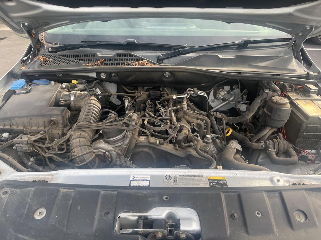 Photo '11' of Volkswagen Amarok DC 4M HL