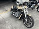 Thumbnail '1' of Harley Davidson Vrscf V-ROD Muscle