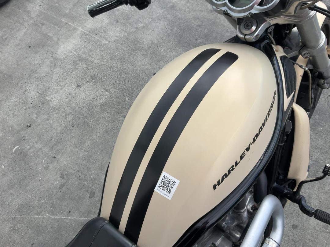Photo '9' of Harley Davidson Vrscf V-ROD Muscle