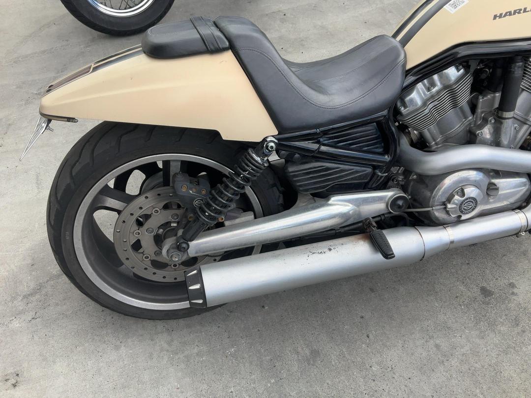 Photo '12' of Harley Davidson Vrscf V-ROD Muscle
