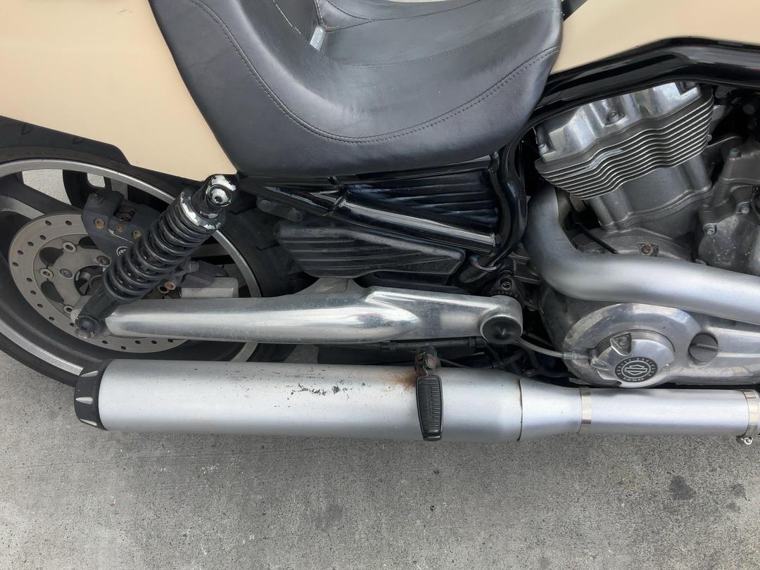 Photo '14' of Harley Davidson Vrscf V-ROD Muscle