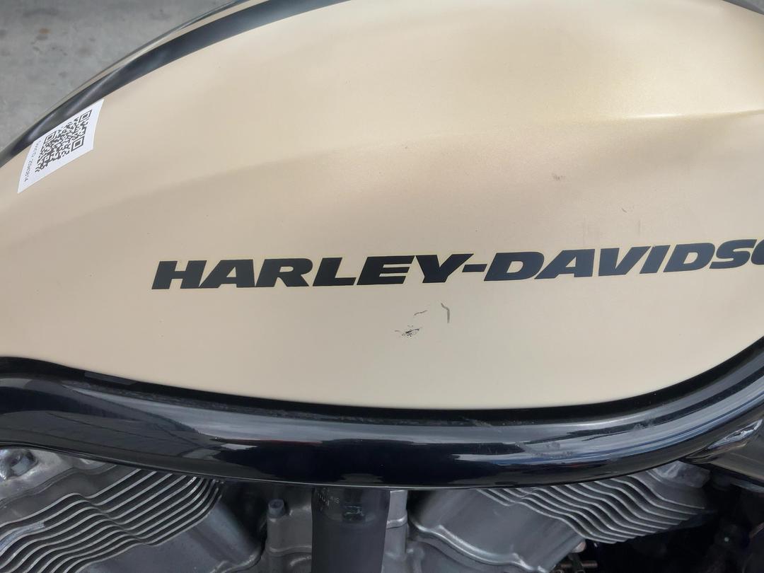 Photo '19' of Harley Davidson Vrscf V-ROD Muscle