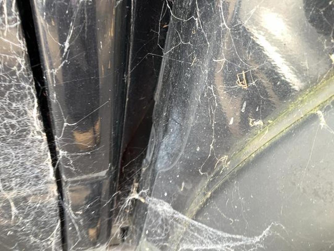 Photo '16' of Holden Colorado LTZ DC PU