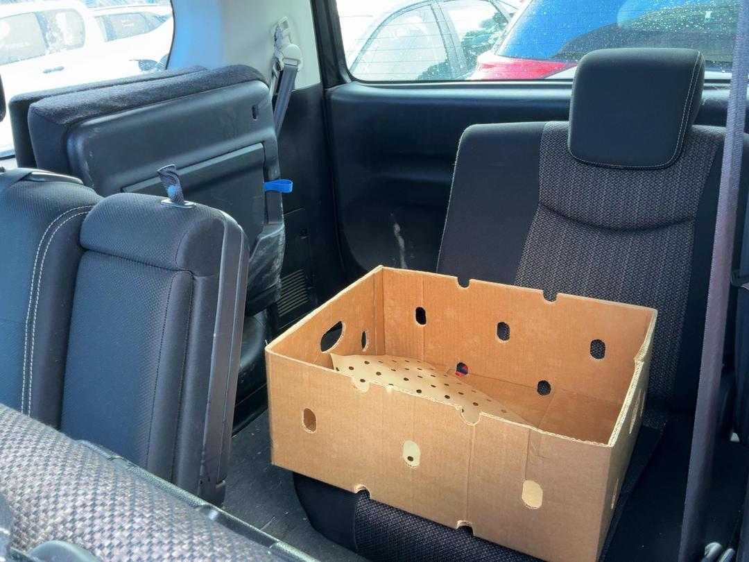 Photo '8' of Nissan Serena Photo '8' of Nissan Serena