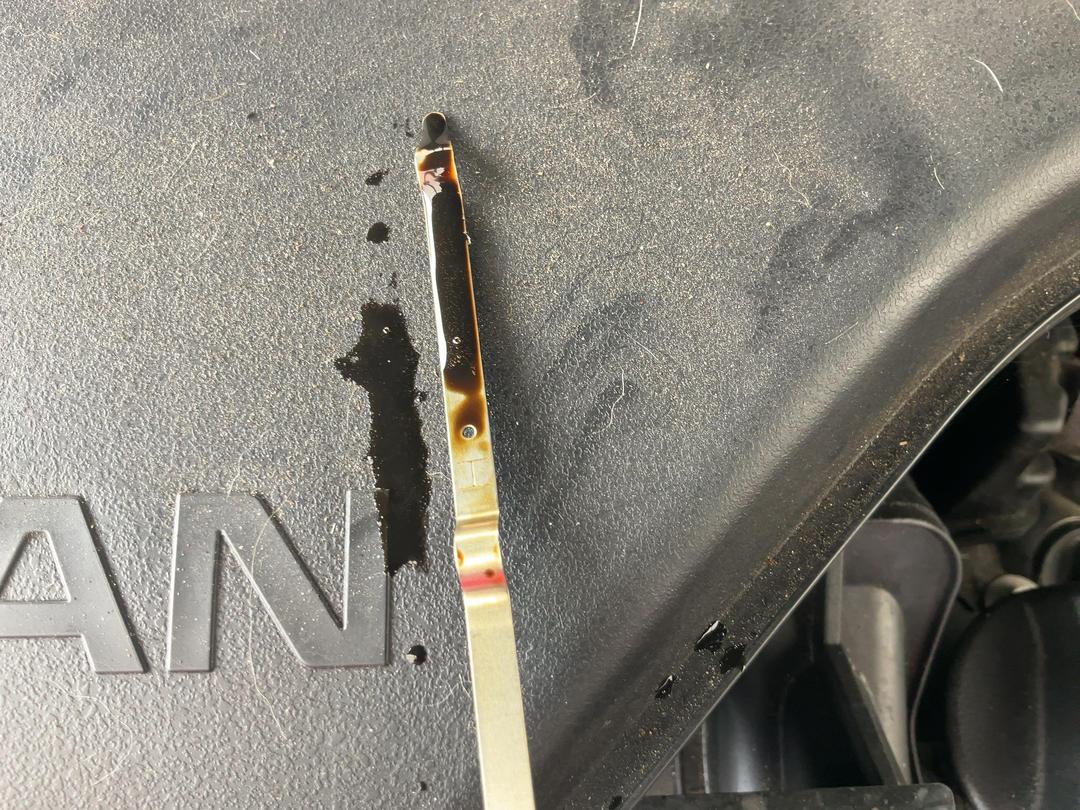 Photo '19' of Nissan X-Trail