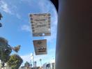 Thumbnail '9' of Nissan X-Trail