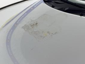 Photo '25' of Suzuki Swift