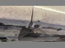 Thumbnail '18' of Toyota Aqua