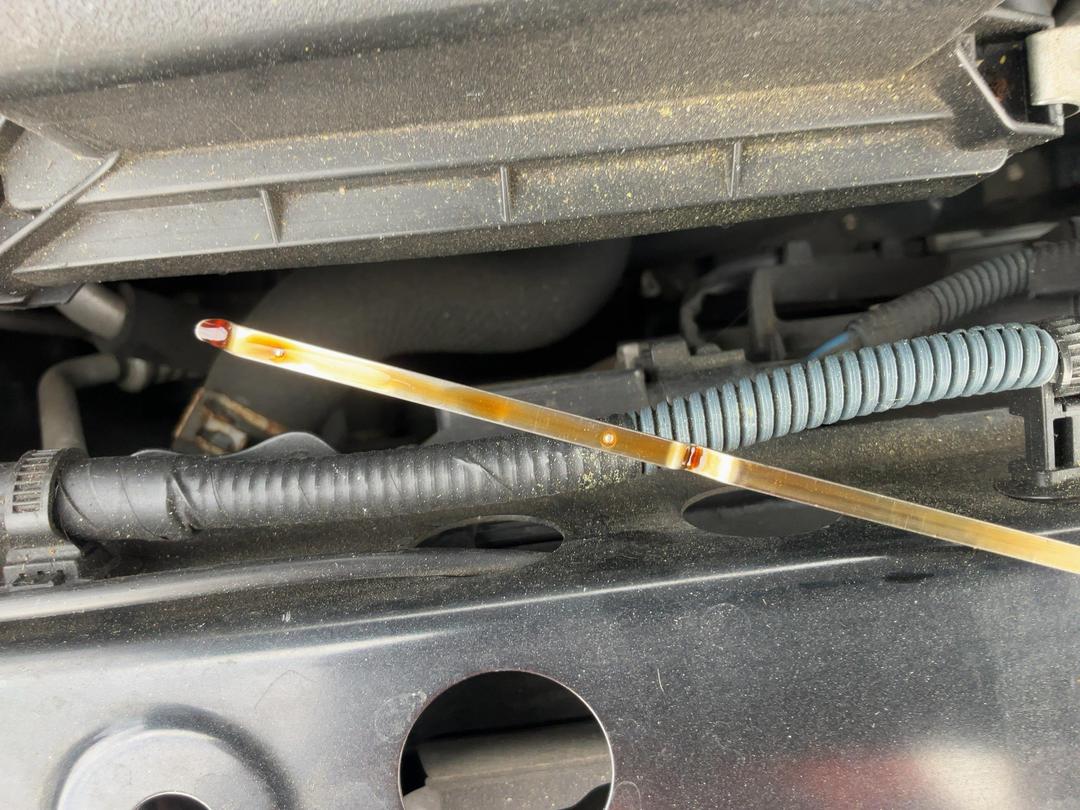 Photo '8' of Toyota Corolla Fielder