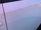 Thumbnail '11' of Toyota Corolla GX