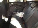 Thumbnail '15' of Ford Kuga Trend AWD Diesel