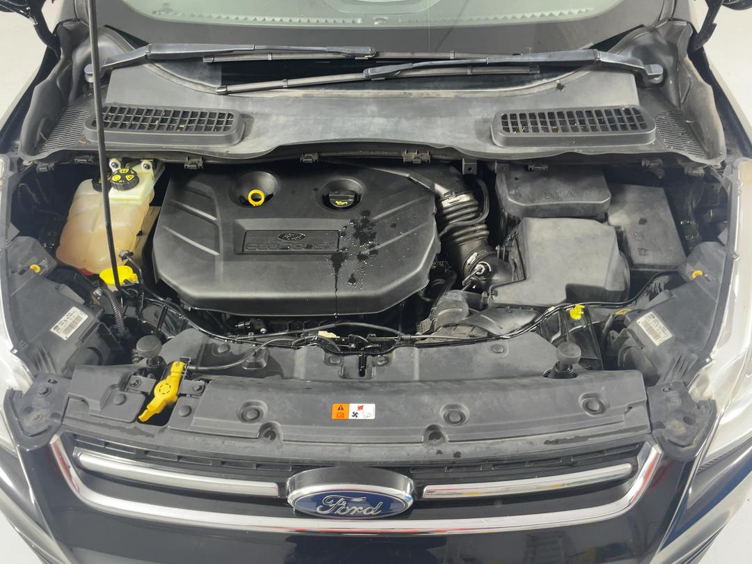 Photo '13' of Ford Kuga