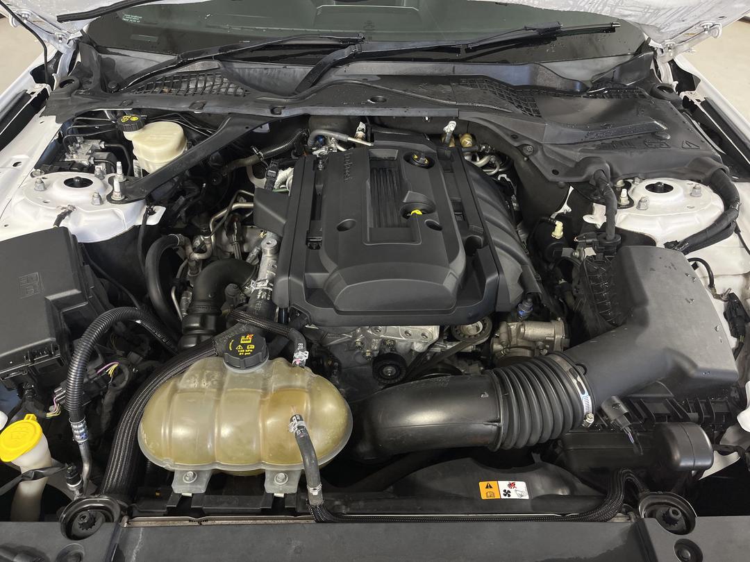 Photo '13' of Ford Mustang